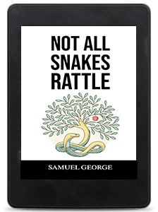 kindle 001 free img 224x300